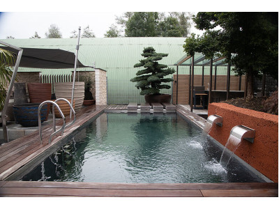 NATURAL POOL